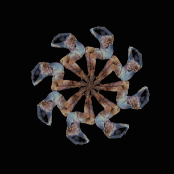 CuerSun1, gif by estephania Gonzalez that contains 8 figures (bodies) with feet meeting in the middle with the bodies forming an 8 pointed star that rotates clockwise as the bodies move from lying then coming into fetal position as they transition in color.